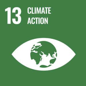 Sustainability Efforts Goal 13, conceptual illustration for global world issues, Climate Action