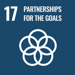 Sustainability Efforts Goal 17, conceptual illustration for global world issues, Partnerships for the Goals