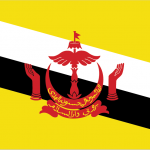 Blahface - Brunei flag