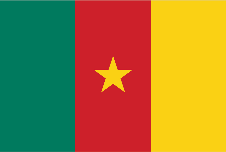 Blahface - Cameroon flag