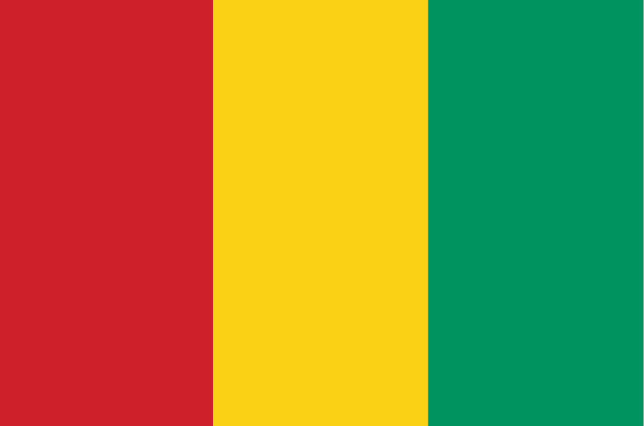blahface-guinea-flag