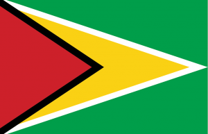 blahface-guyana-flag