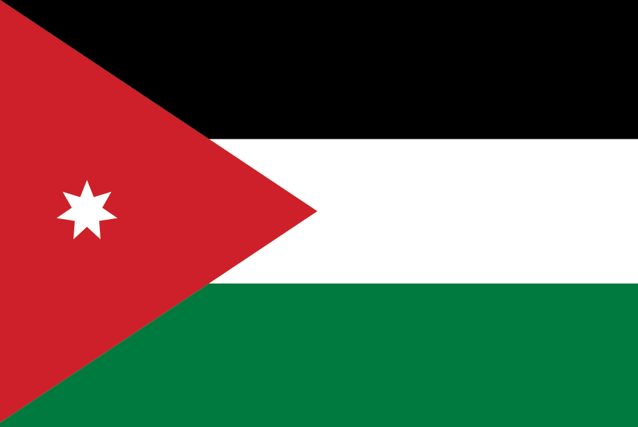 blahface-jordan-flag