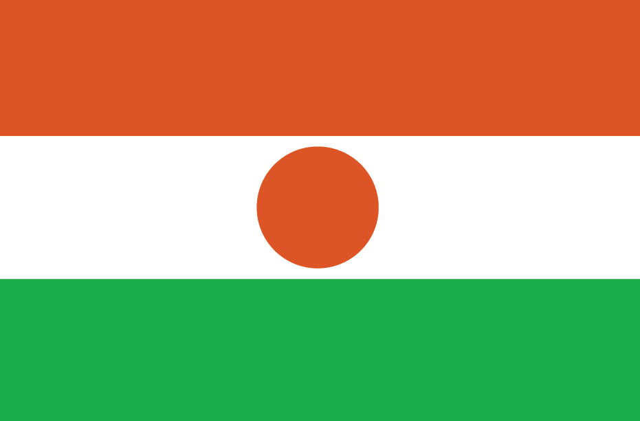blahface-niger-flag