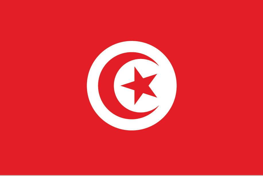 blahface-tunisia-flag