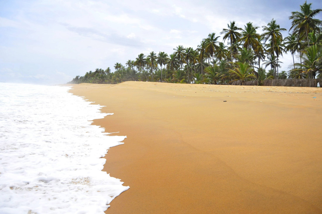 Grand Bassam, Ivory Coast: Tropical beach paradise with palm trees, golden sand, and ocean waves.