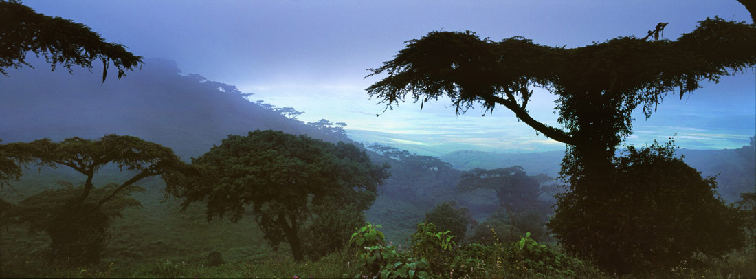 Topic is Travel Destination to Gabon. Landscape of Jungle scenery in Gabon.