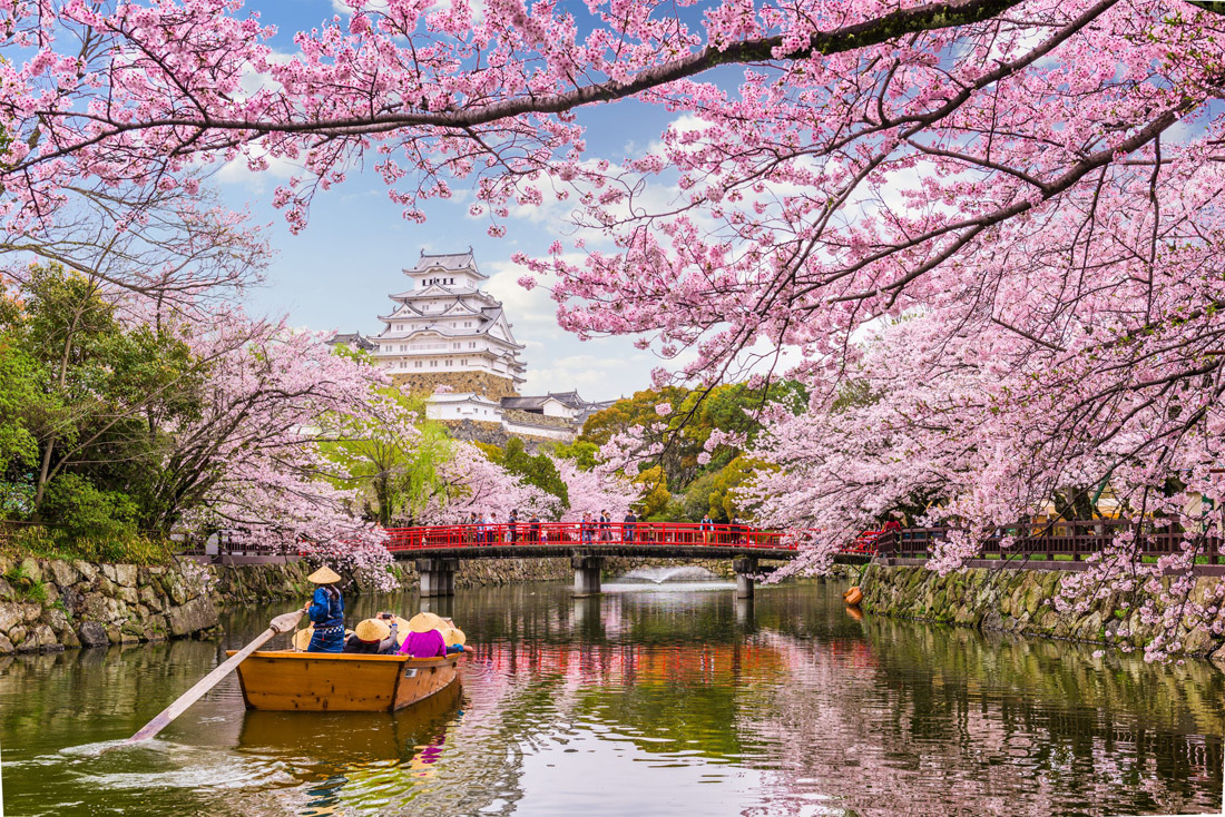 Topic is Travel Destination to Japan. Himeji, Japan at Himeji Castle in Spring Season.