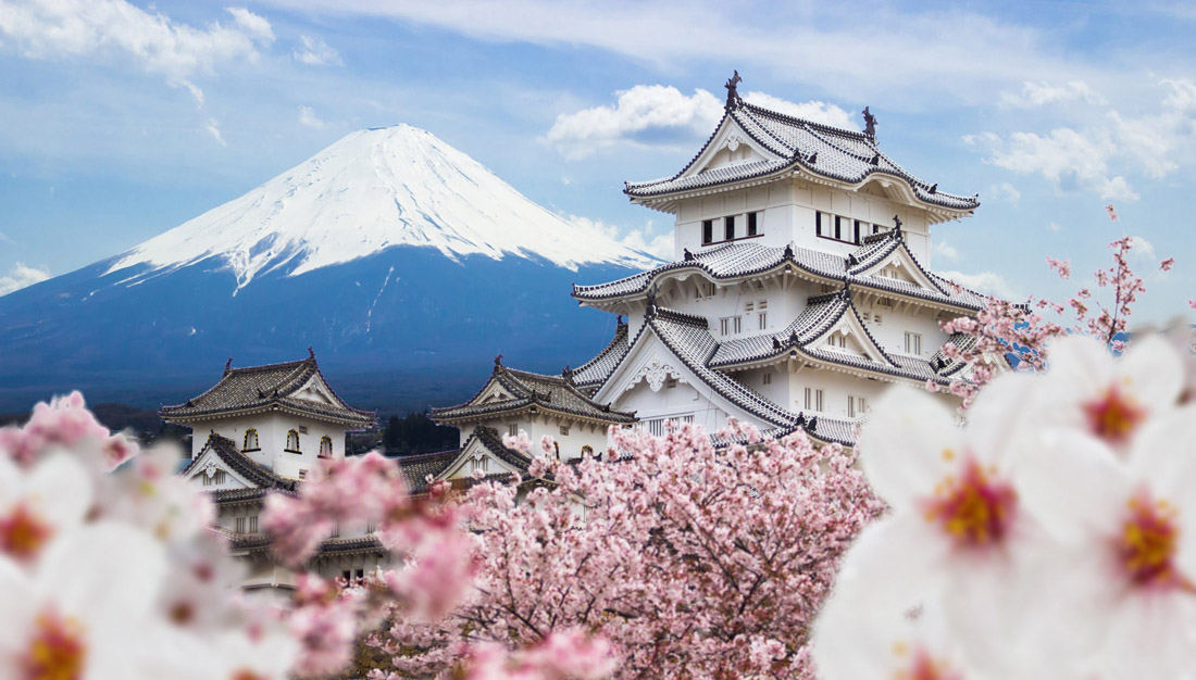 Himeji Castle framed by cherry blossoms against Mount Fuji backdrop in Japan.