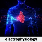 Electrophysiology News and Information